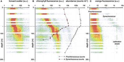 Dynamics of Prochlorococcus and Synechococcus at Station ALOHA Revealed through Flow Cytometry and High-Resolution Vertical Sampling